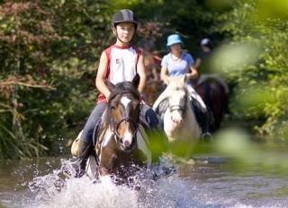  Equestrian ride in summer 